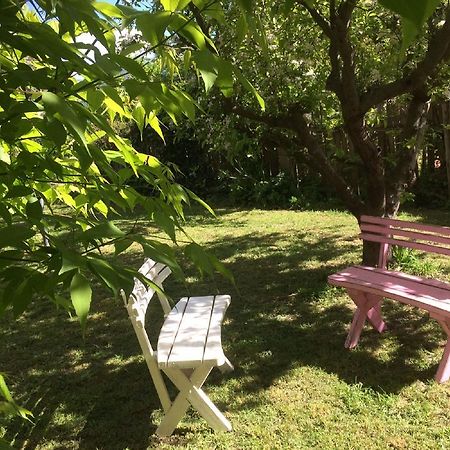 Kookaburra Cottage Castlemaine Exterior photo